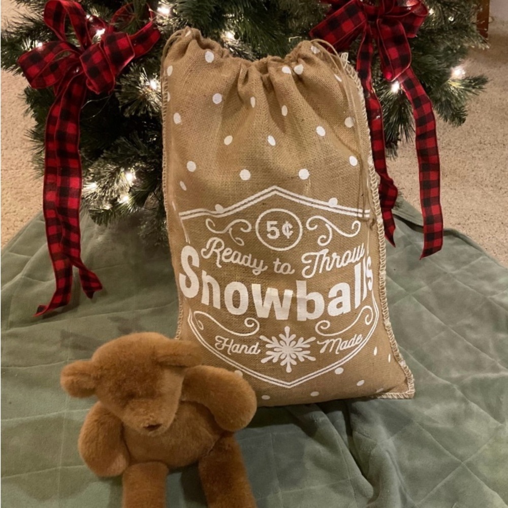 Large gift bag
